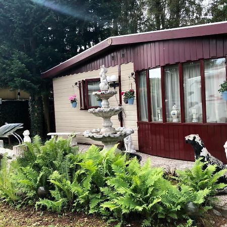 Retro Relax Resort Midden In Het Bos Op De Veluwe In Putten Exterior photo